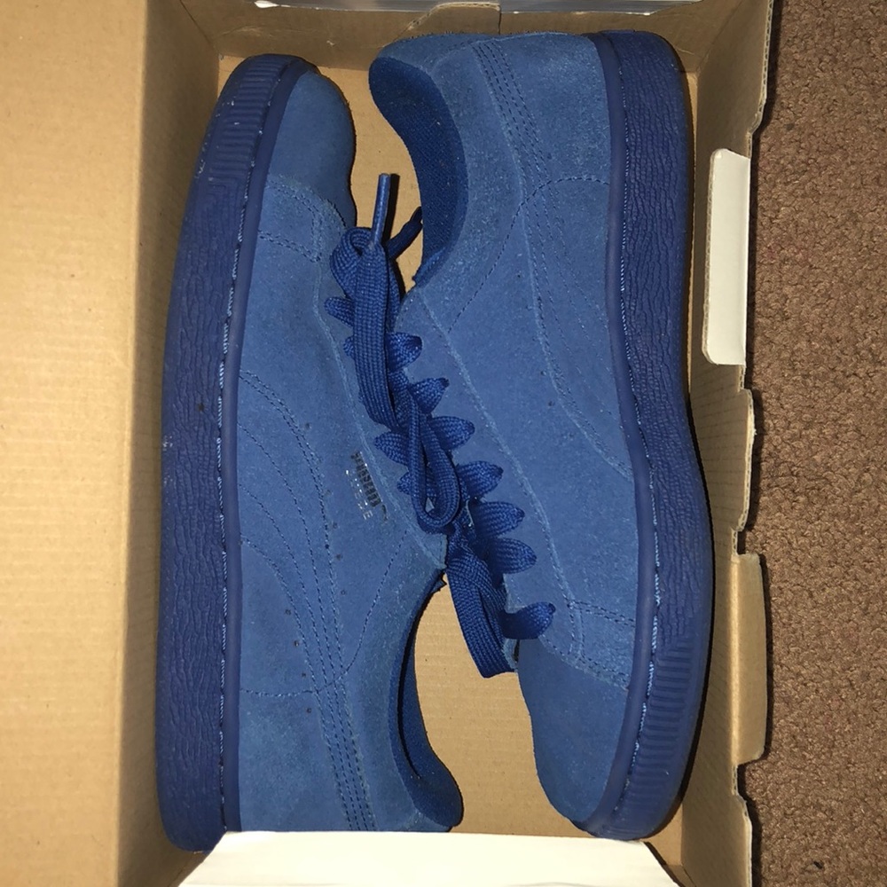 Pumas - Picture 1 of 1